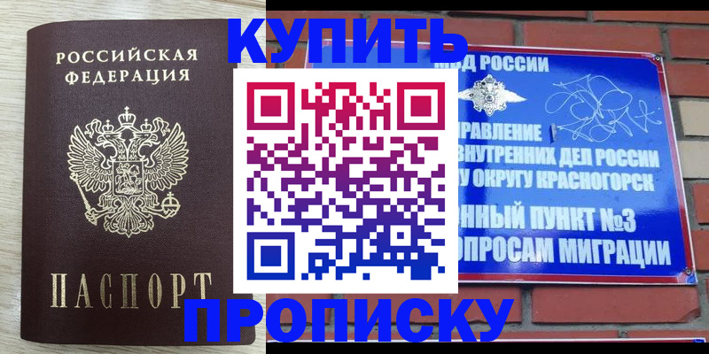 прописка гарантия в Домодедово